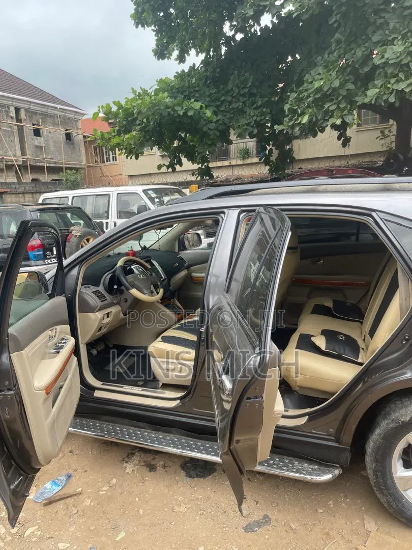 Lexus RX 2007 Gray