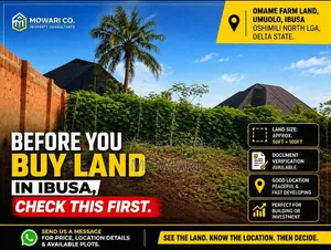 Before You Buy Land in Ibusa 