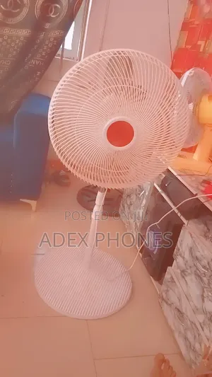 Standing Fan
