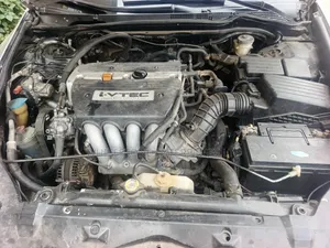 Honda Accord 2006 White