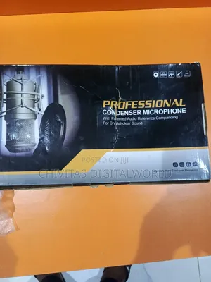 Professional Condenser Microphone
