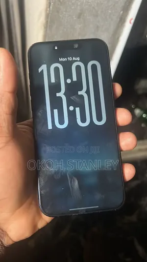 Apple iPhone 15 Pro Max 256 GB Gray
