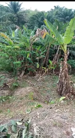 Land for Sell