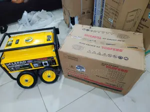 The Perfect Mid-Size Generator for Nigerian Families