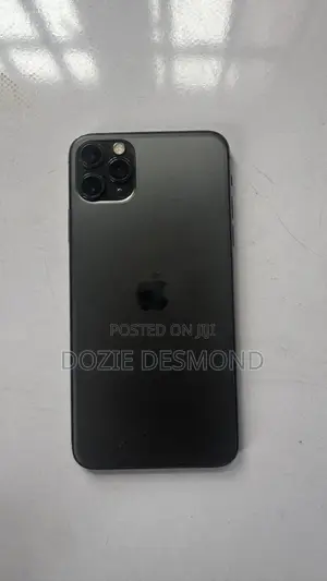 Apple iPhone 11 Pro Max 256 GB Gray