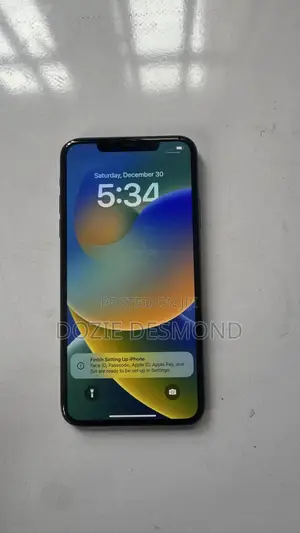 Apple iPhone 11 Pro Max 256 GB Gray