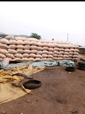 Fresh Maize