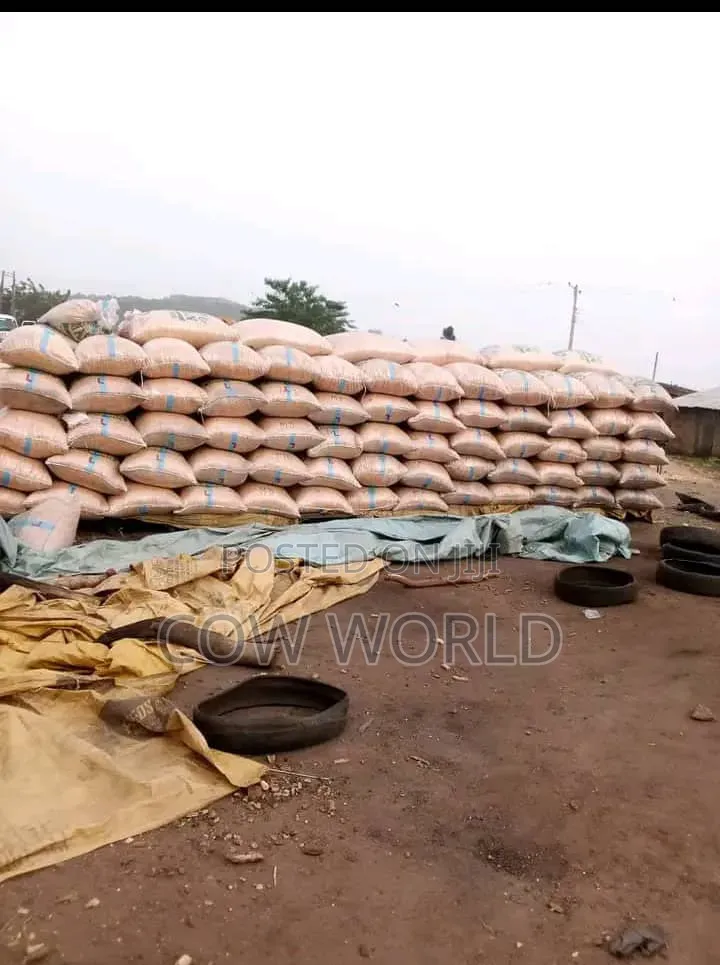Fresh Maize