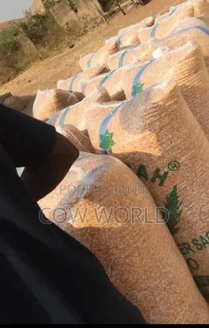 Fresh Maize