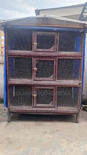 Two Chicken Cages
