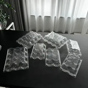 Egg Trays T