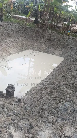 Dig or Renovate Fish Pond in Your Location With Shikini Amount,