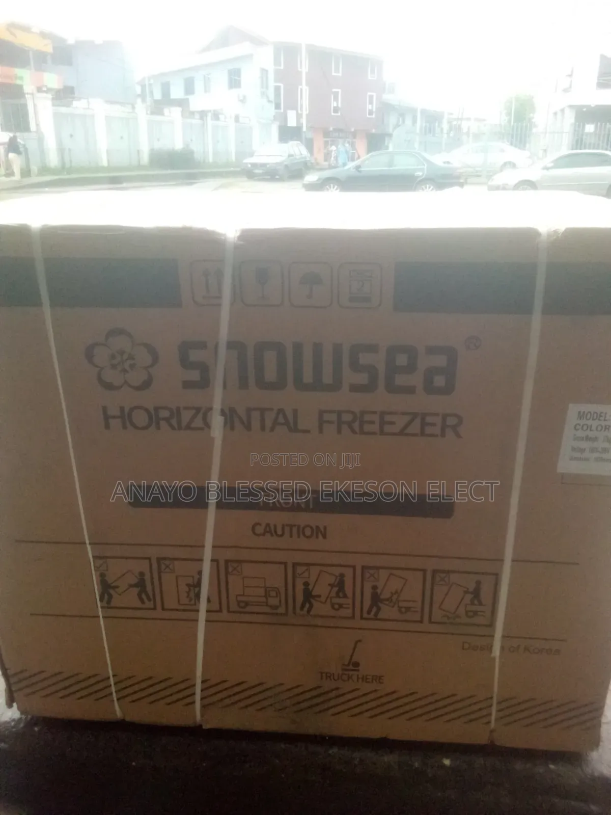 Snowsea Deep Freezer 200liters BD 308