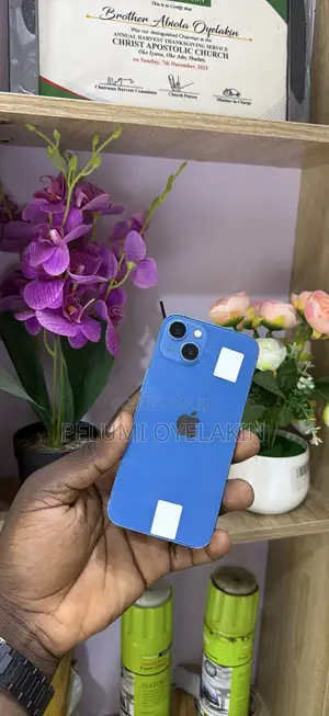 Apple iPhone 13 128 GB Blue