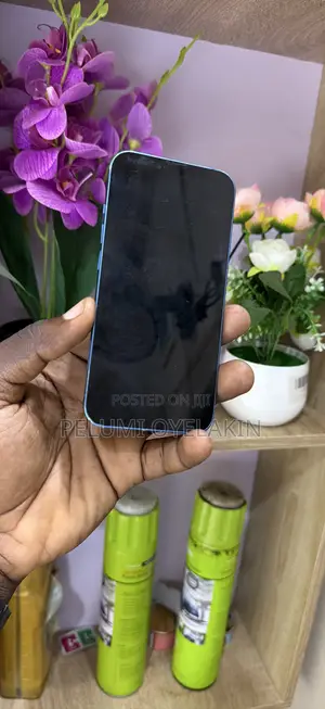 Apple iPhone 13 128 GB Blue