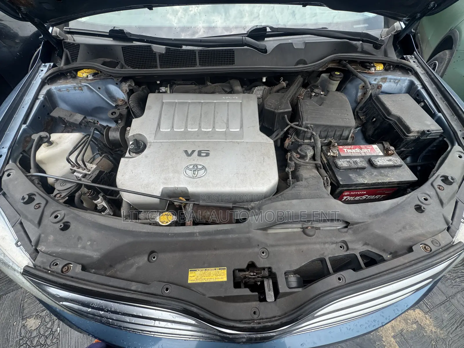 Toyota Venza 2010 Blue