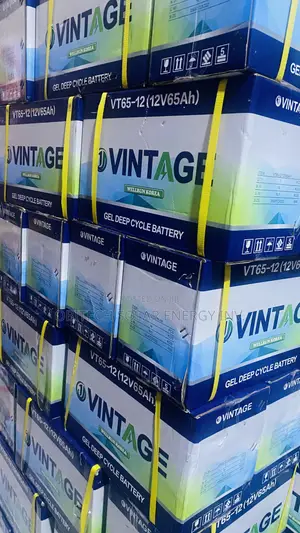 12V 65AH Deep Cycle Battery