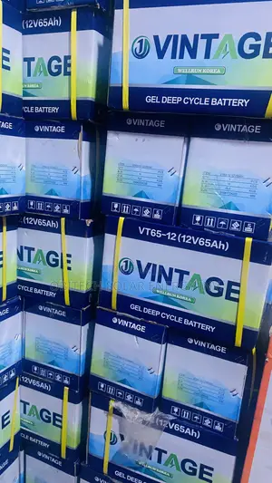 12V 65AH Deep Cycle Battery