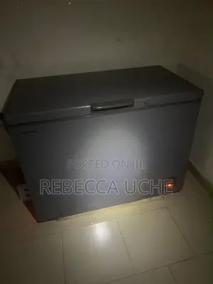 Hisense Freezer 450L