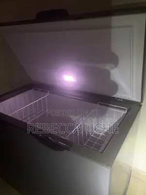 Hisense Freezer 450L