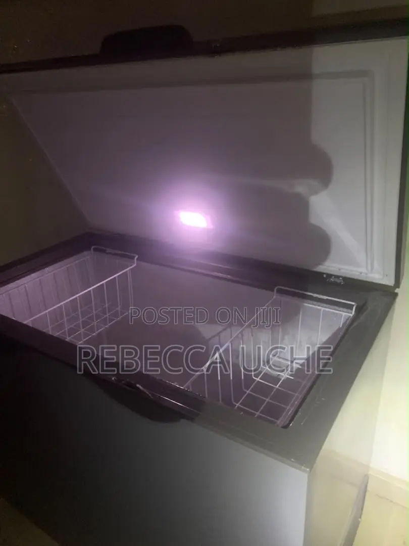 Hisense Freezer 450L