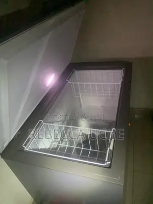 Hisense Freezer 450L
