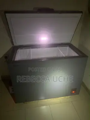 Hisense Freezer 450L