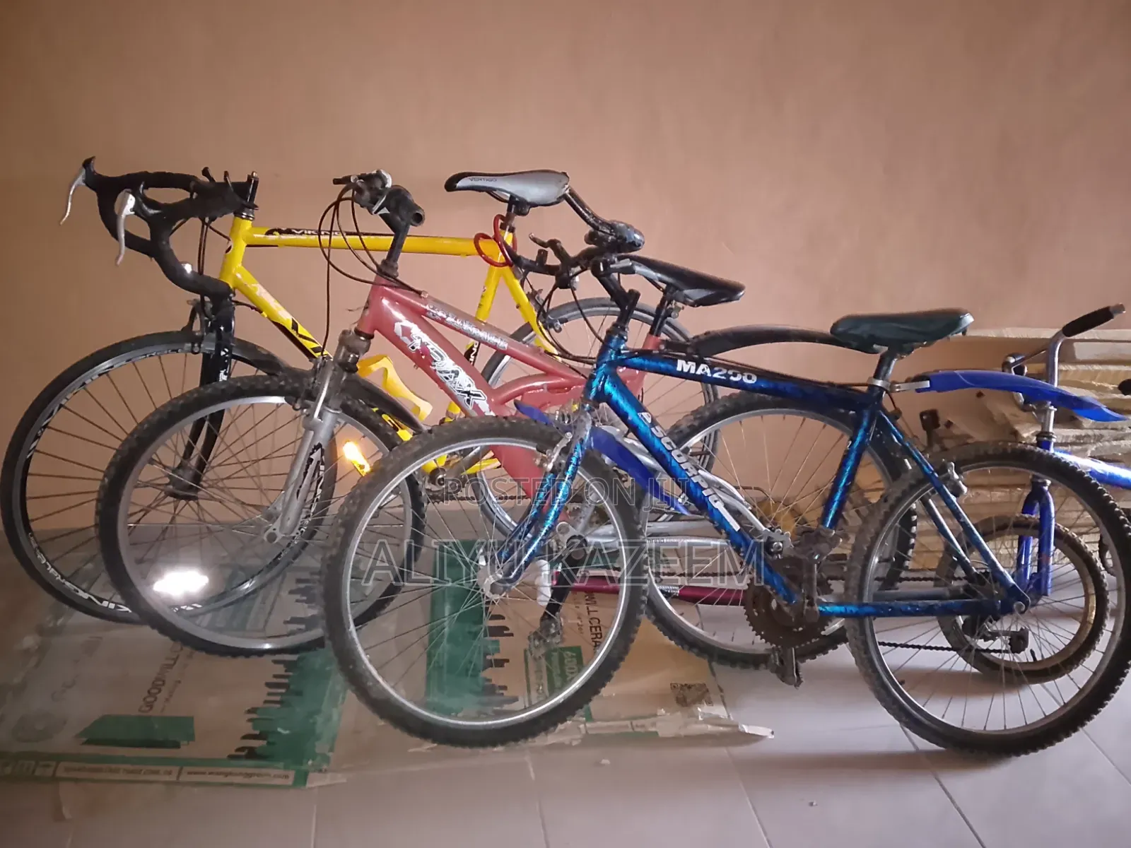 Adult Bicycle