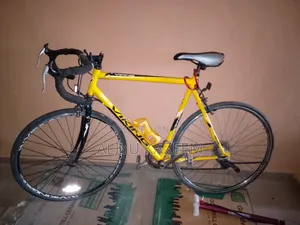 Adult Bicycle