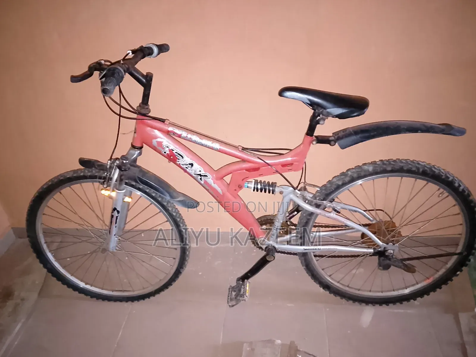 Adult Bicycle