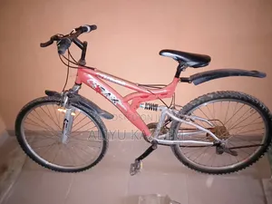 Adult Bicycle