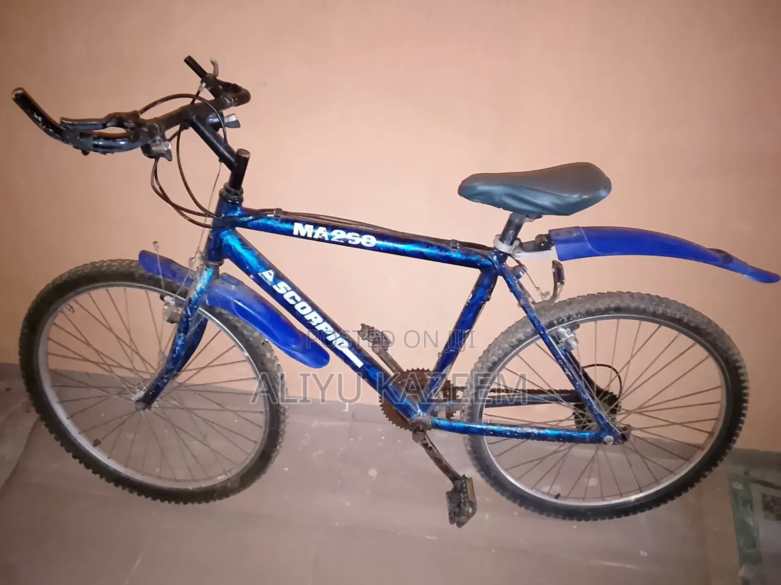 Adult Bicycle
