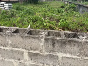 863sqm of Land With Title and Good Location