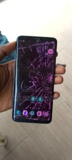 Samsung Galaxy S9 Plus 64 GB Blue