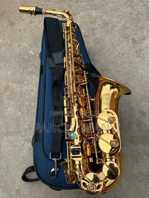 Dinant Das-810 Professional Alto Saxophone
