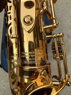 Dinant Das-810 Professional Alto Saxophone