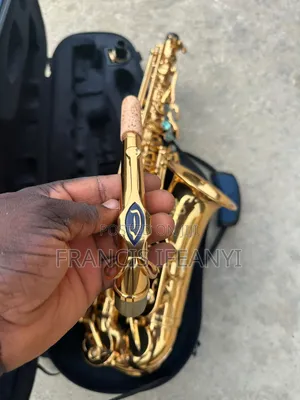 Dinant Das-810 Professional Alto Saxophone