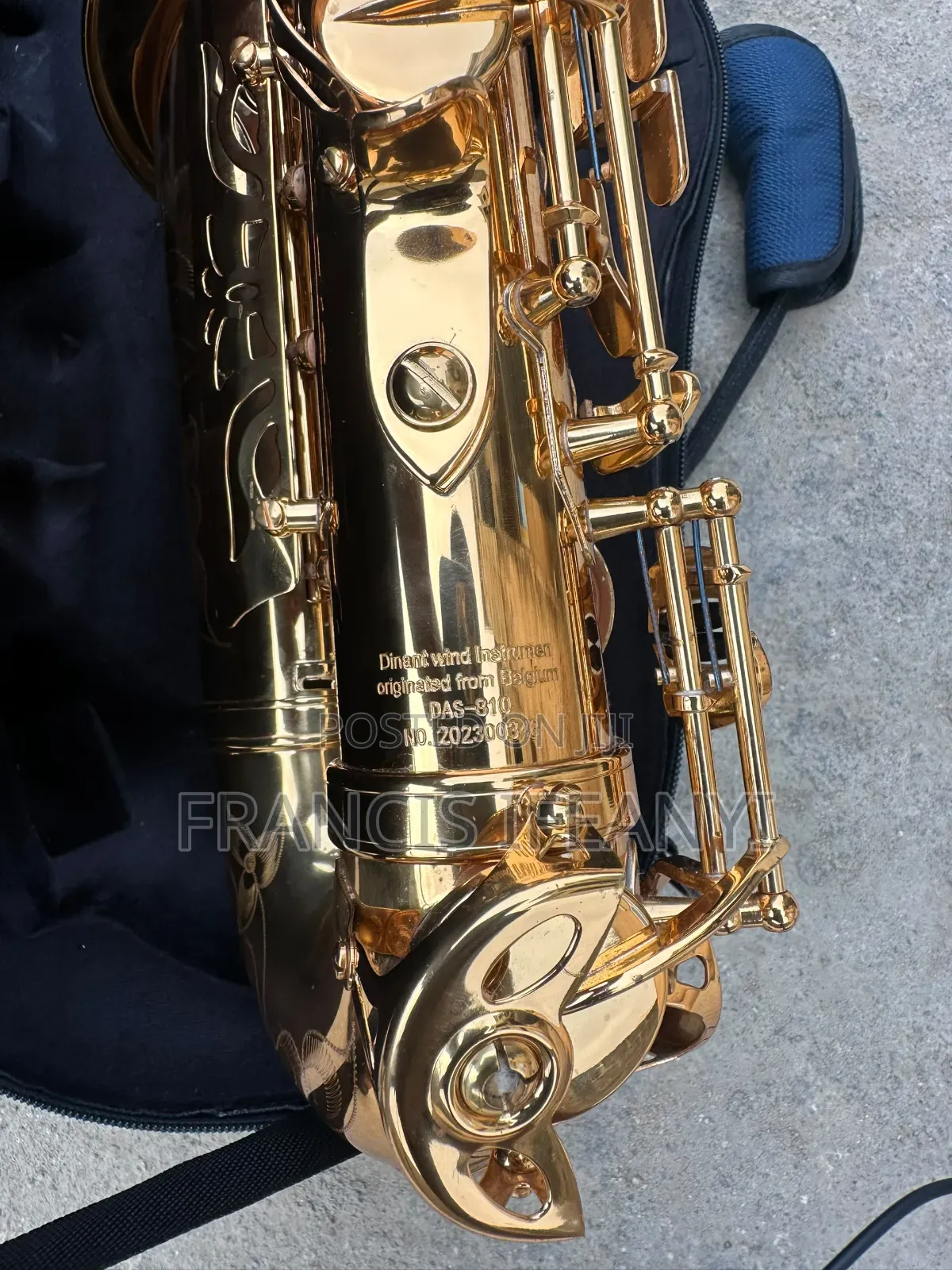 Dinant Das-810 Professional Alto Saxophone