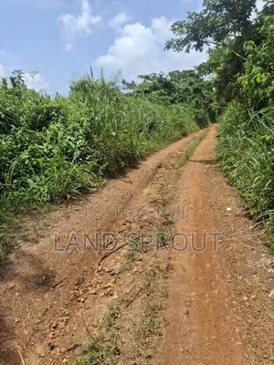 1000 Acres of Farmland at Gbàgbé, Ido, Ibadan