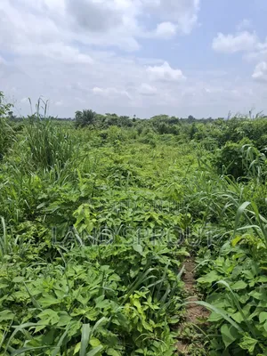 1000 Acres of Farmland at Gbàgbé, Ido, Ibadan
