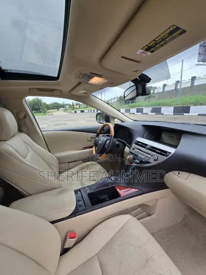 Lexus RX 2010 Blue
