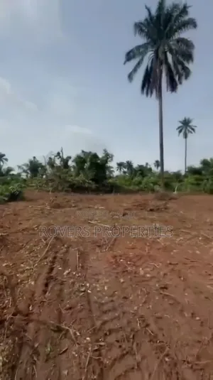 Land for Sale in Ikenne Close to Gateway Airport