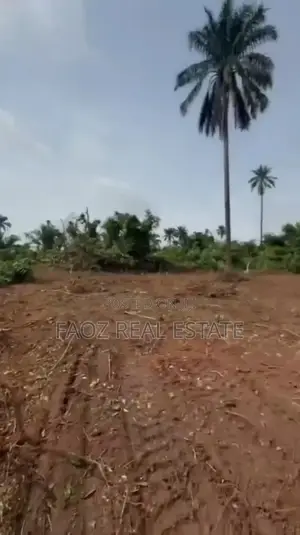 Land for Sale in Ikenne Close to Gateway Airport