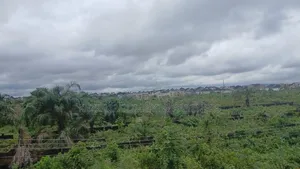 For Sale : 5 Plots After Trailer Park Junction, Onne, Ph