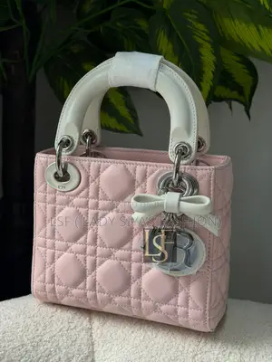 Luxury Dior Bag