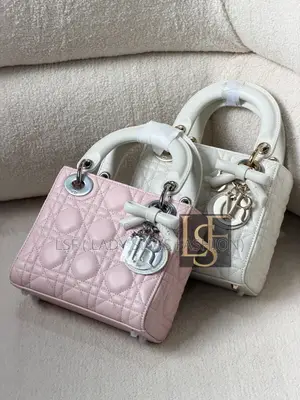 Luxury Dior Bag