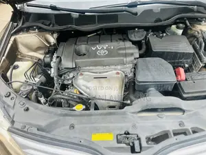 Toyota Venza 2010 Gold
