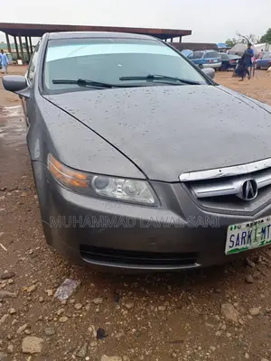 Acura TL 2005 Gray