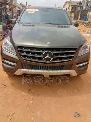 Mercedes-Benz M Class 2013 Brown