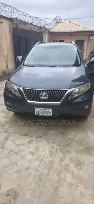 Lexus RX 350 2010 Gray